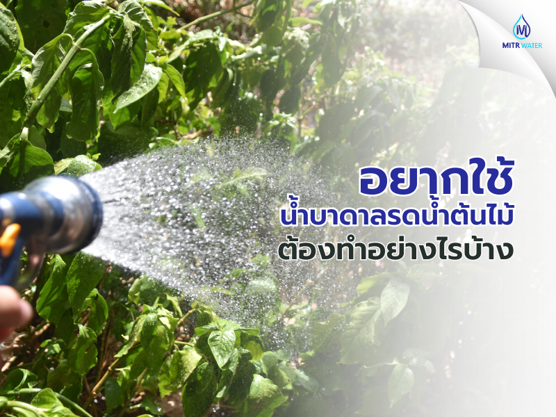 อยากใช้น้ำบาดาลรดน้ำต้นไม้ ต้องทำอย่างไร