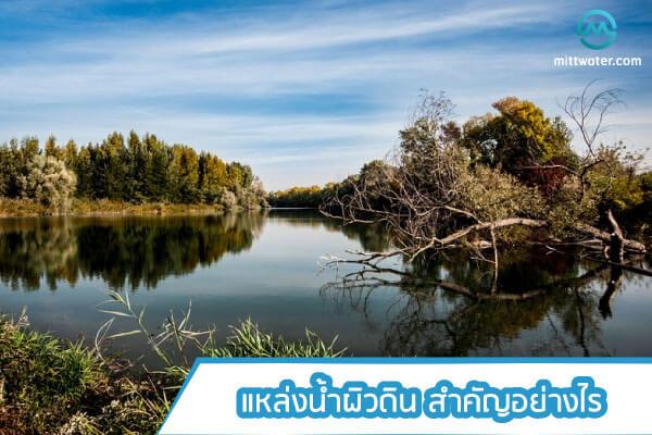 แหล่งน้ำผิวดิน มีความสำคัญอย่างไร