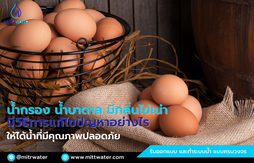 น้ำมีกลิ่นไข่เน่า ต้องทำอย่างไร
